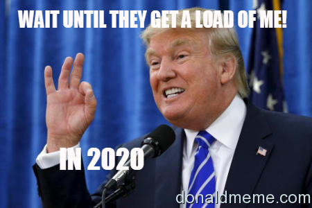 Donald Wins 2020