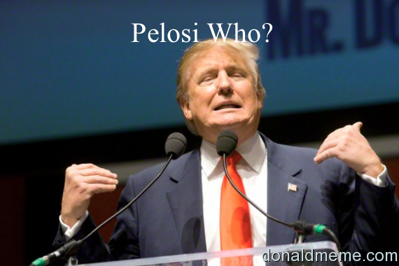 Pelosi Who?